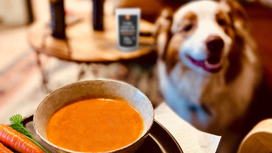 Moro-Suppe: Der Retter bei Durchfall