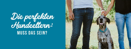 Die perfekten Hundeeltern: Muss das sein?