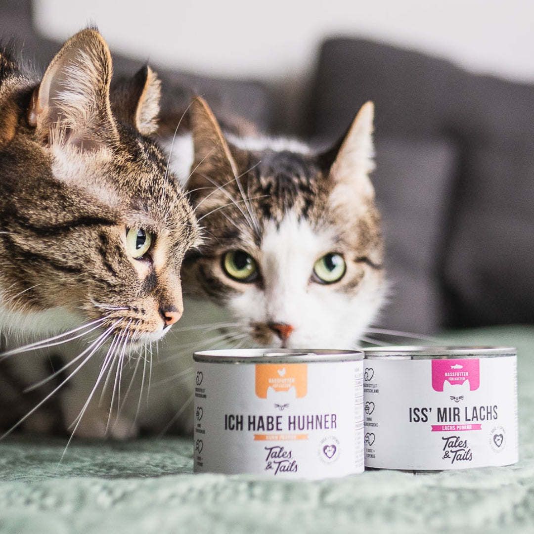 2er Mixpaket Nassfutter für Katzen