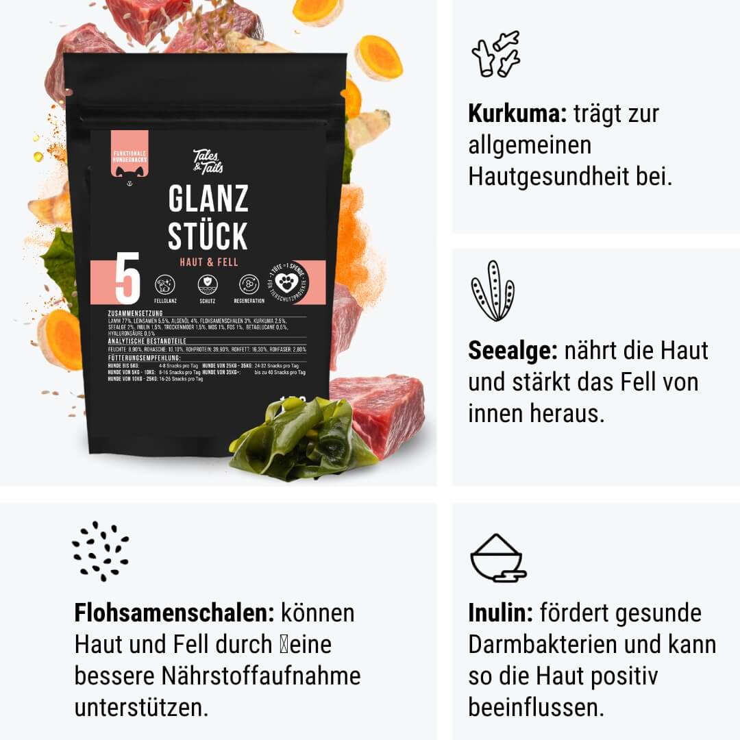 Probe - Glanzstück