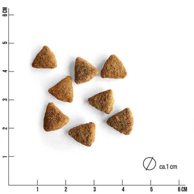 Monoproteinpaket Fisch