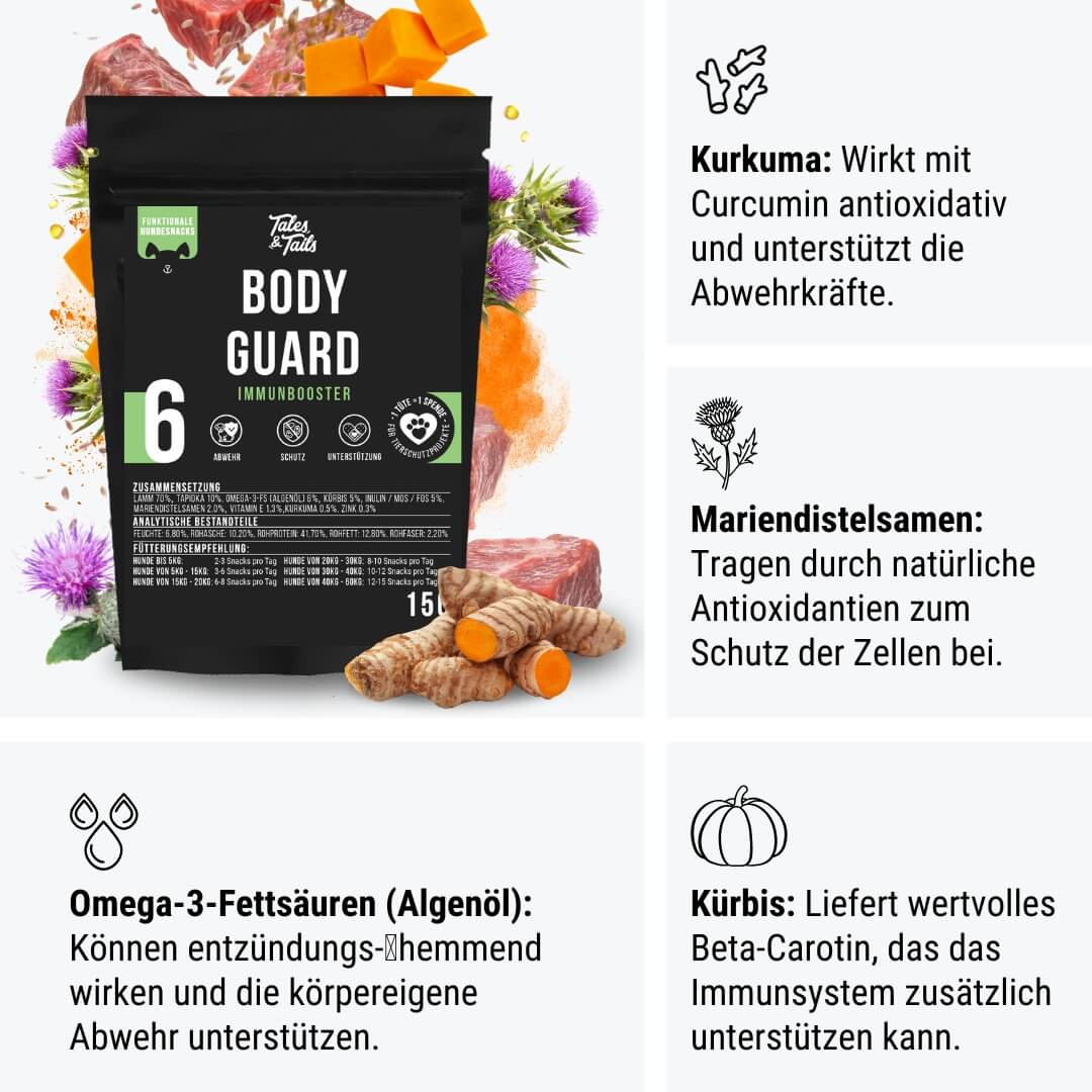 Probe - Bodyguard