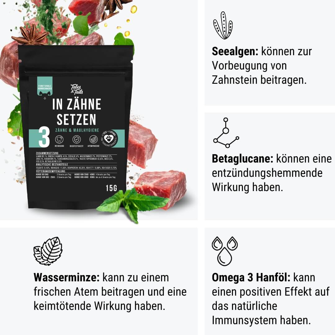 Probe - In Zähne setzen
