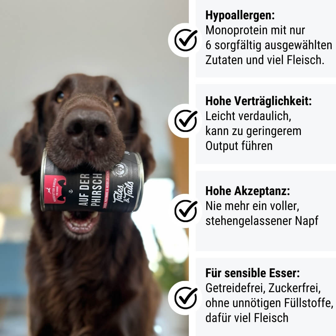 Auf der PHirsch