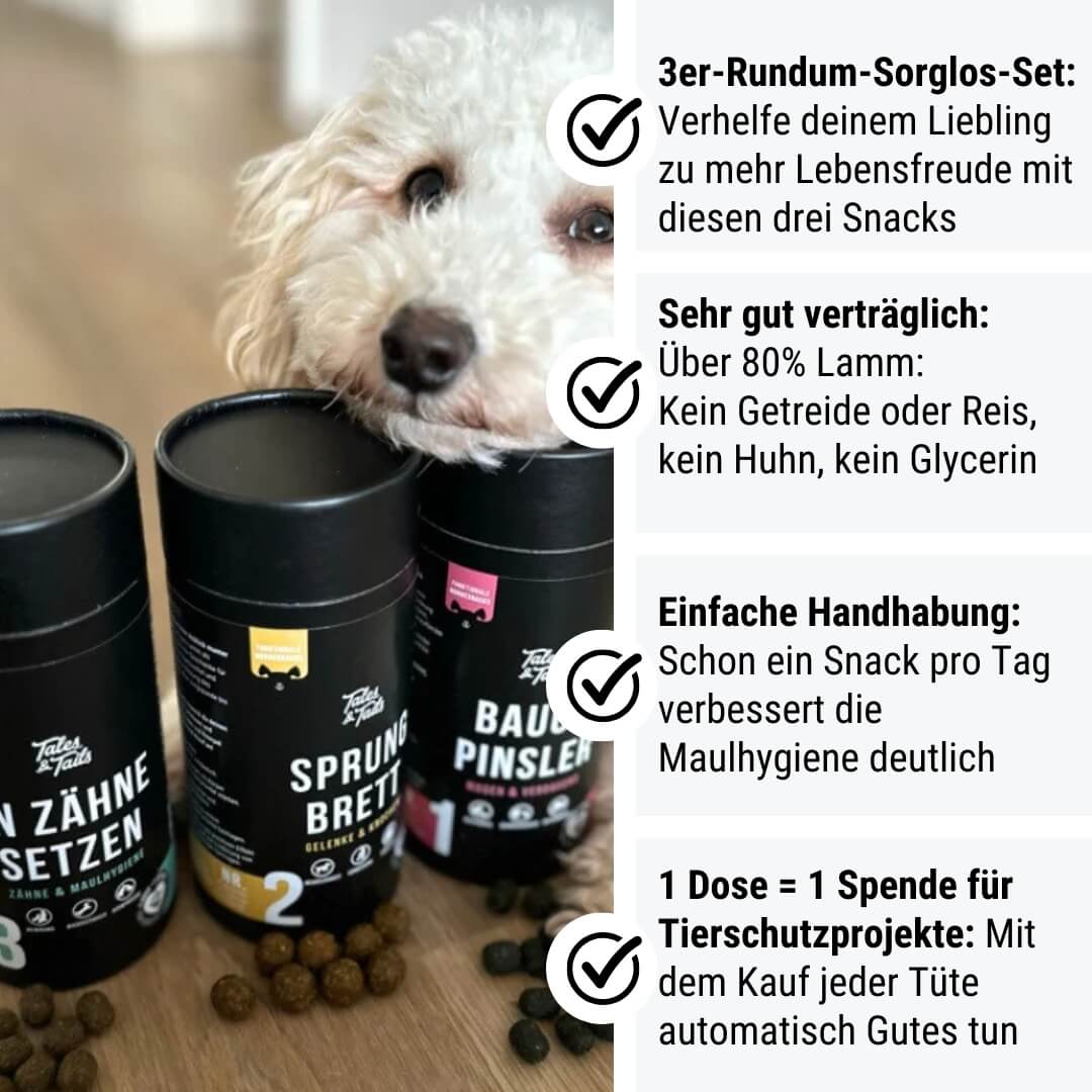 Rundum-Sorglos-Paket