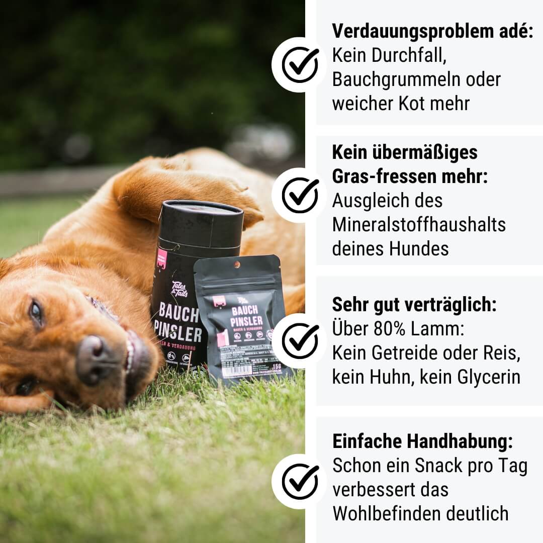 Probe - Bauchpinsler