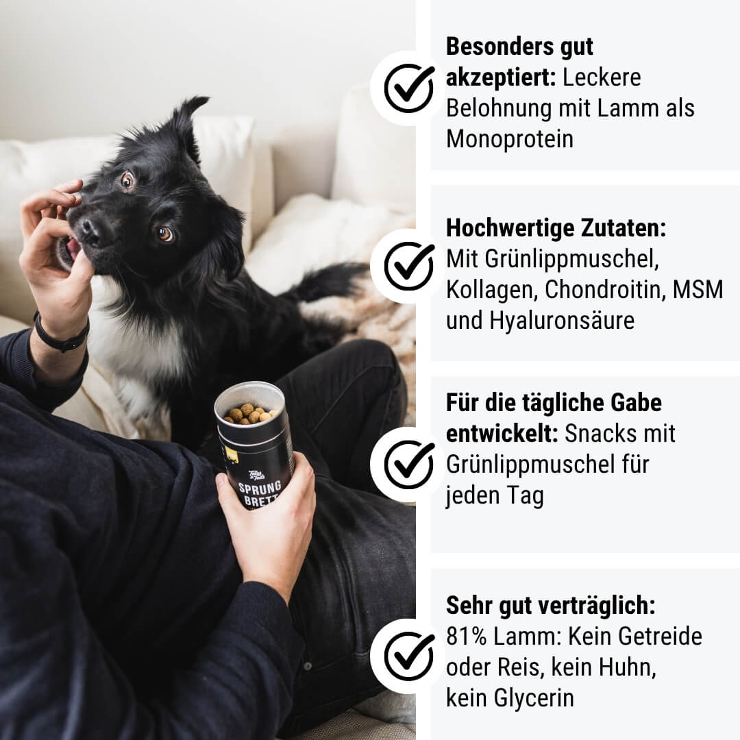 Sprungbrett