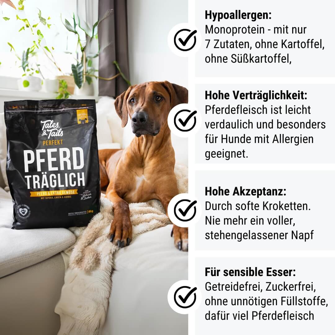 Perfekt PferdTräglich