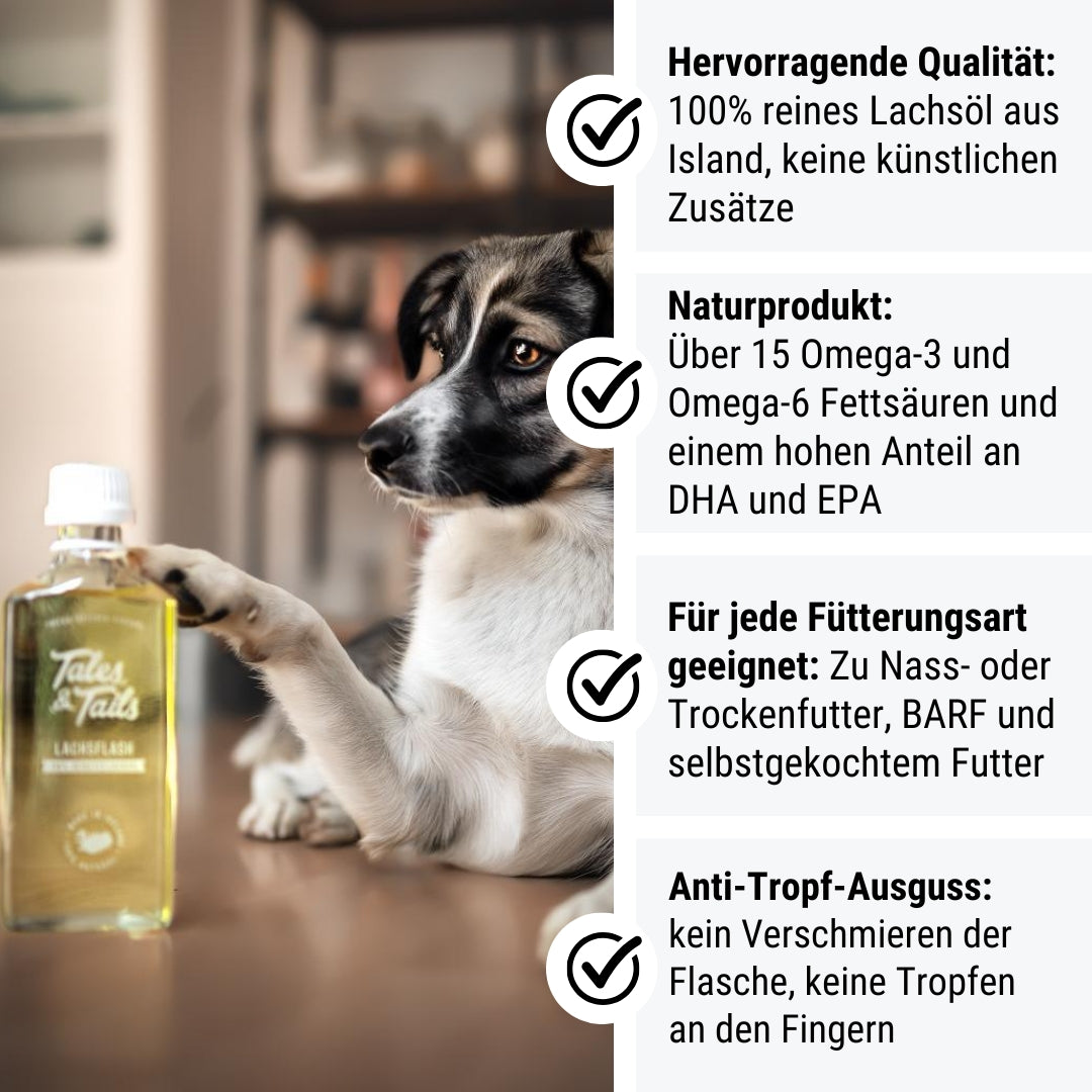 Lachsflash