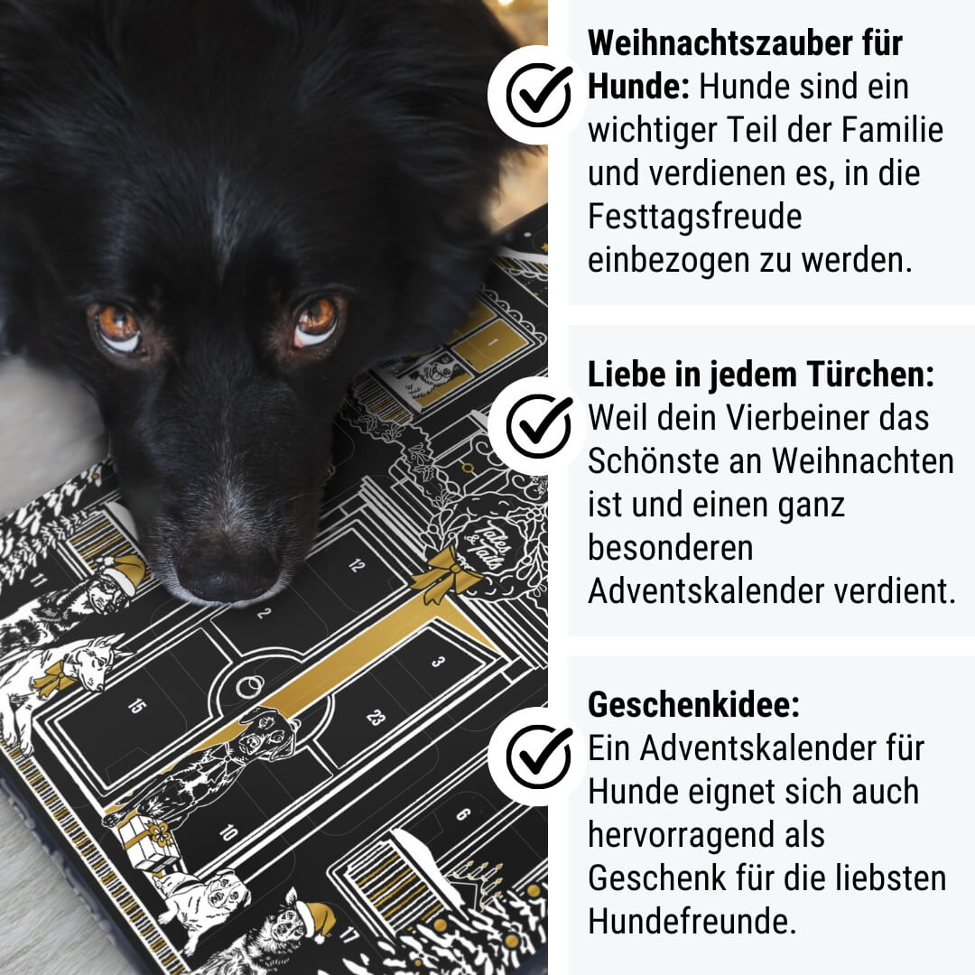 Adventskalender für Hunde