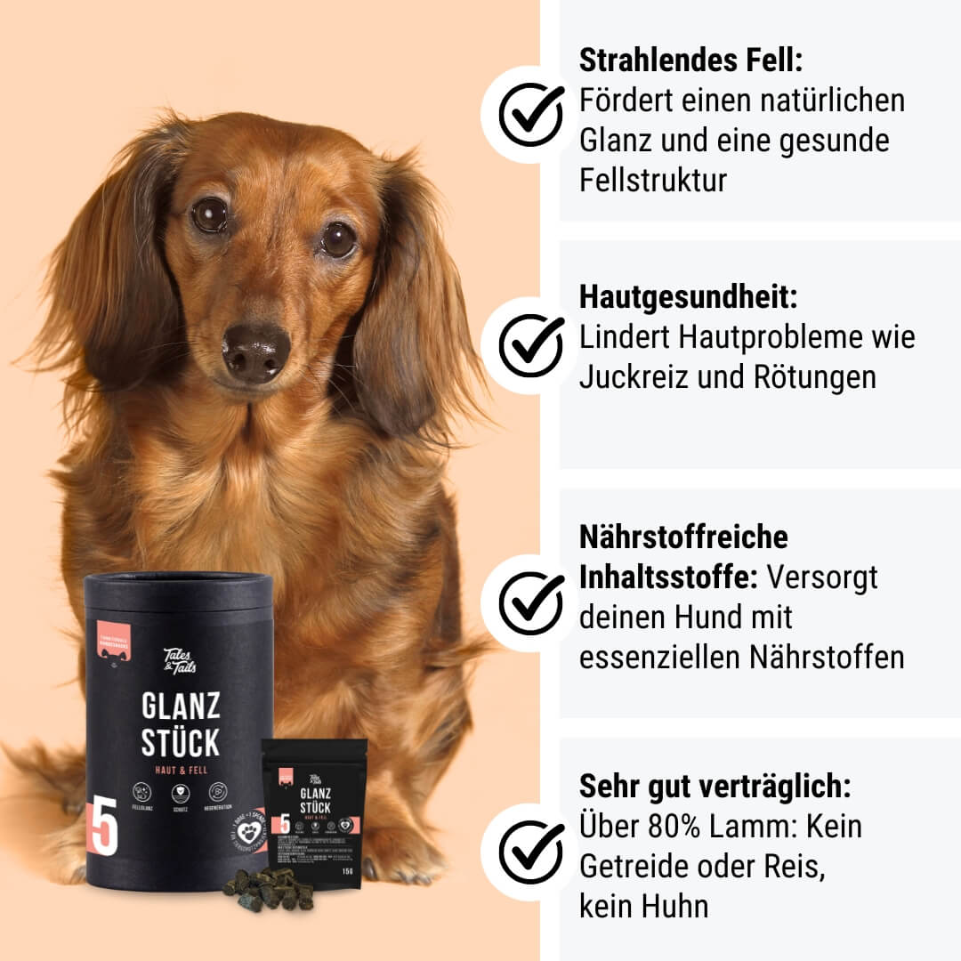 Probe - Glanzstück