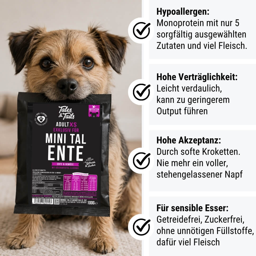 Probe Exklusiv für Mini TalEnte