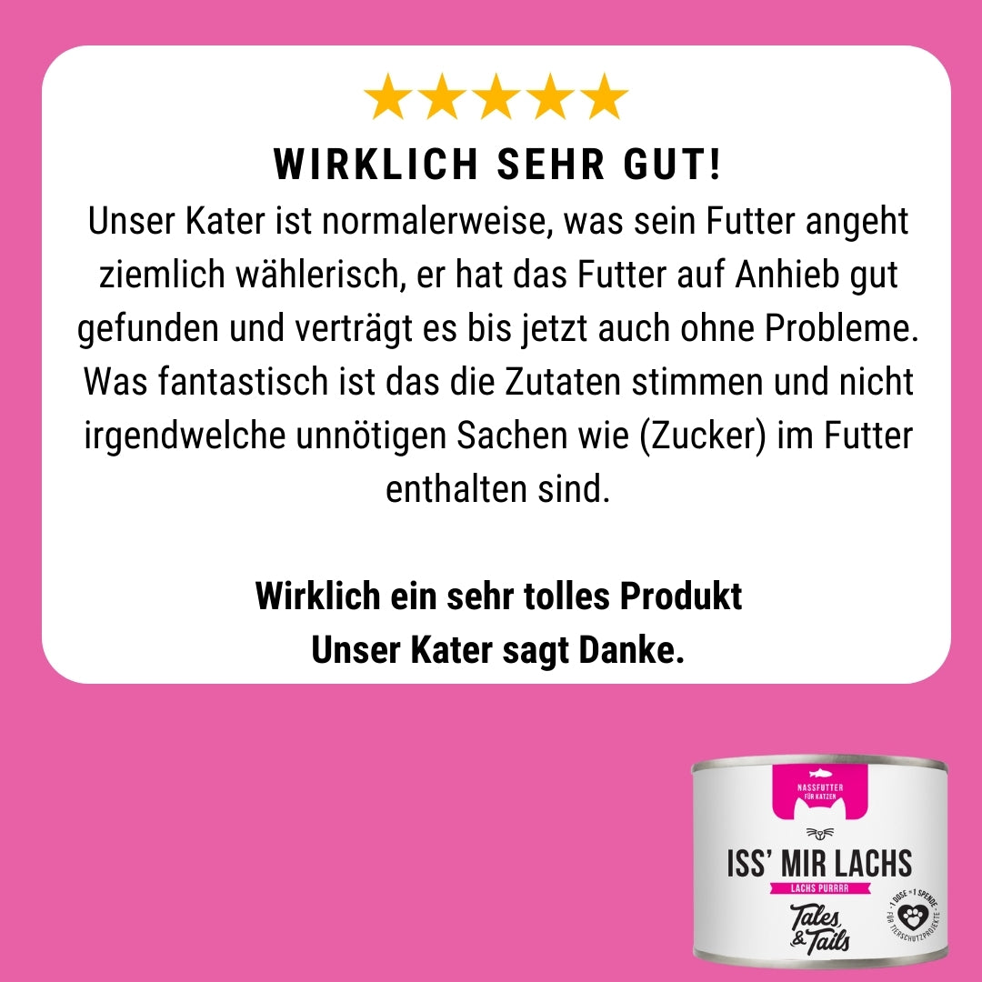 Probierpaket für Katzen mit Alleinfutter Nass und Leckerli