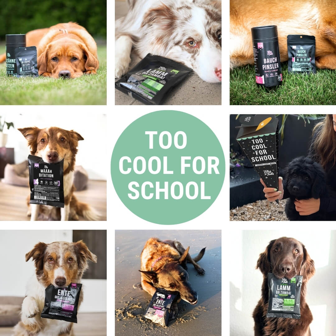 Too cool for School