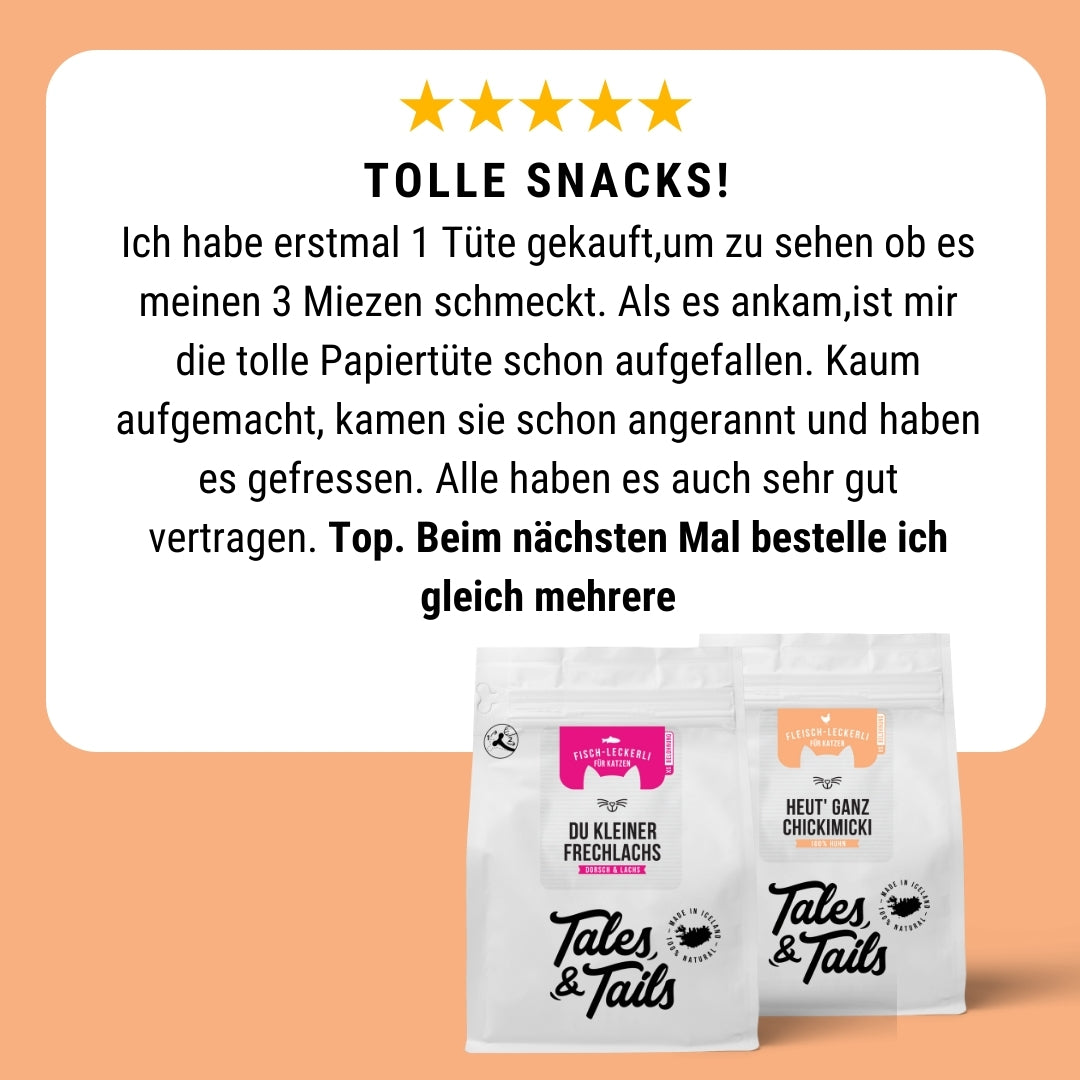 Probierpaket für Katzen mit Alleinfutter Nass und Leckerli