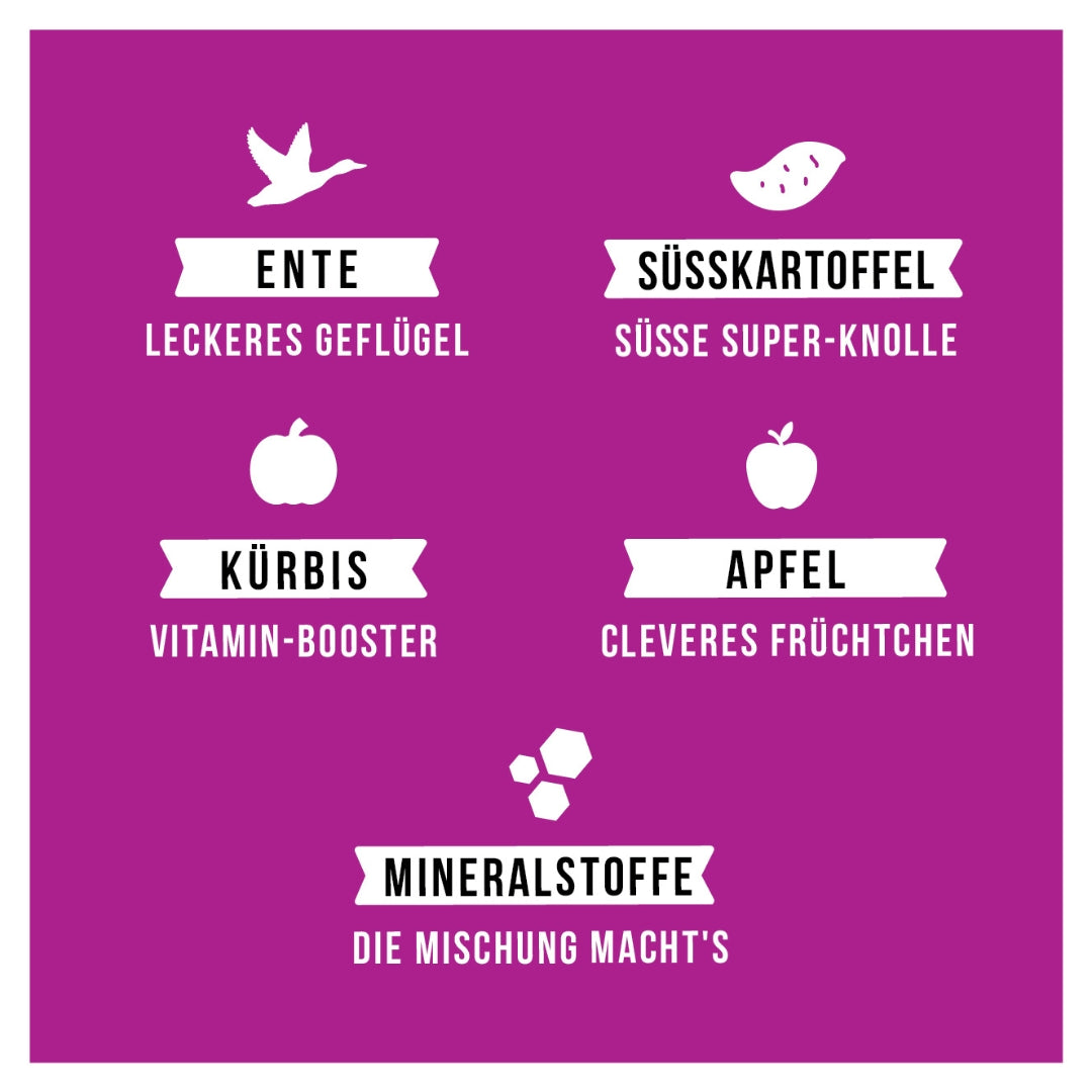 Monoproteinpaket Ente