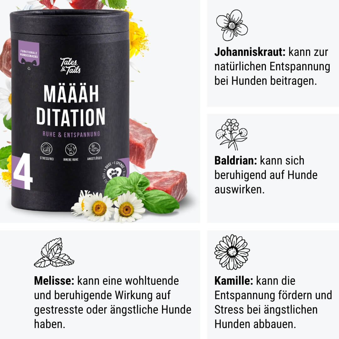 Määähditation