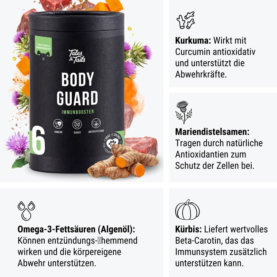 Bodyguard