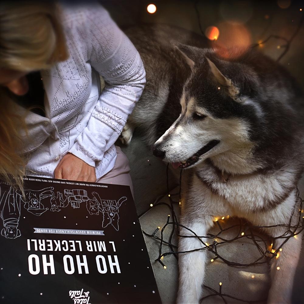 Premium Adventskalender für Hunde