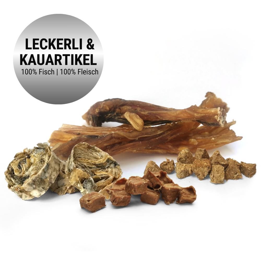 Premium Adventskalender für Hunde