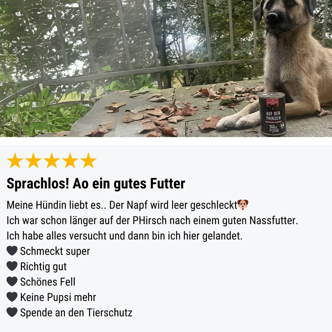 Auf der PHirsch