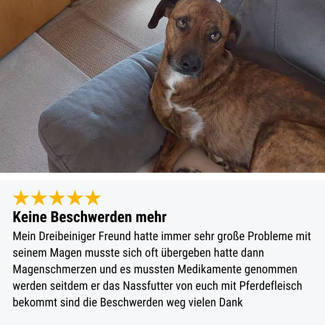 Monoproteinpaket Pferd