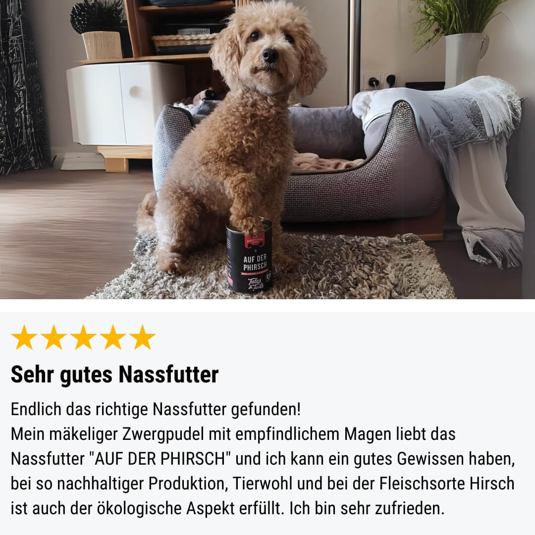 Auf der PHirsch