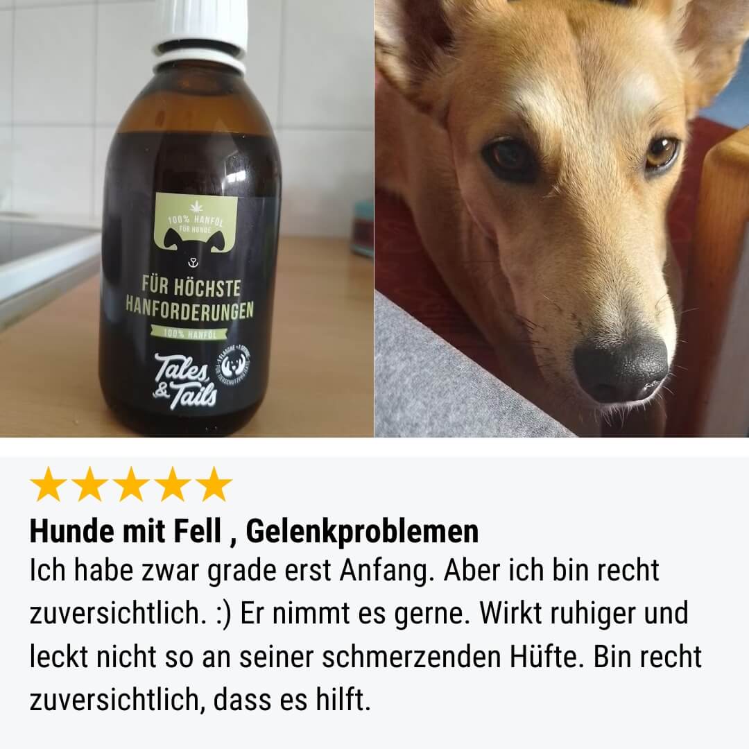 Für höchste Hanforderungen