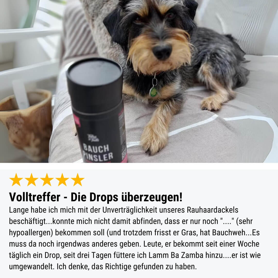 Probe - Bauchpinsler