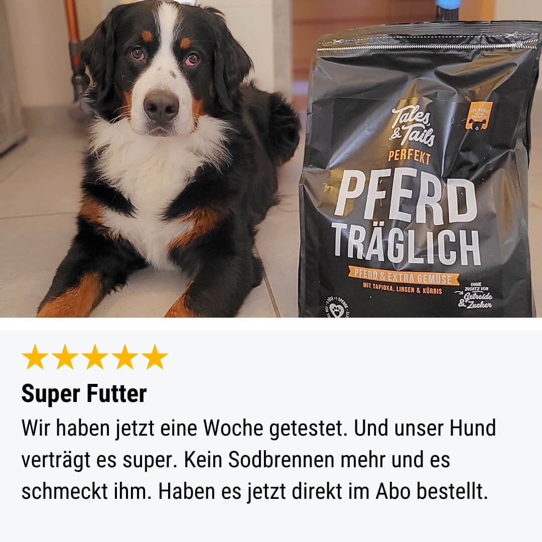 Perfekt PferdTräglich