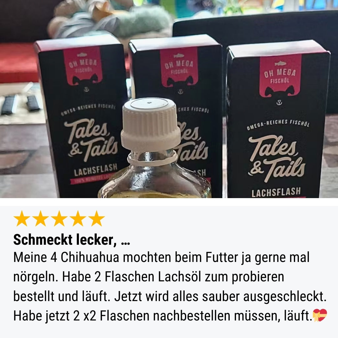 Lachsflash