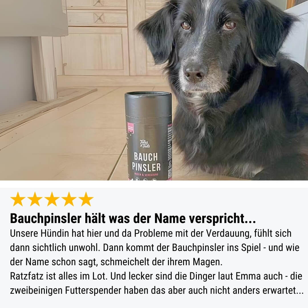 Bauchpinsler
