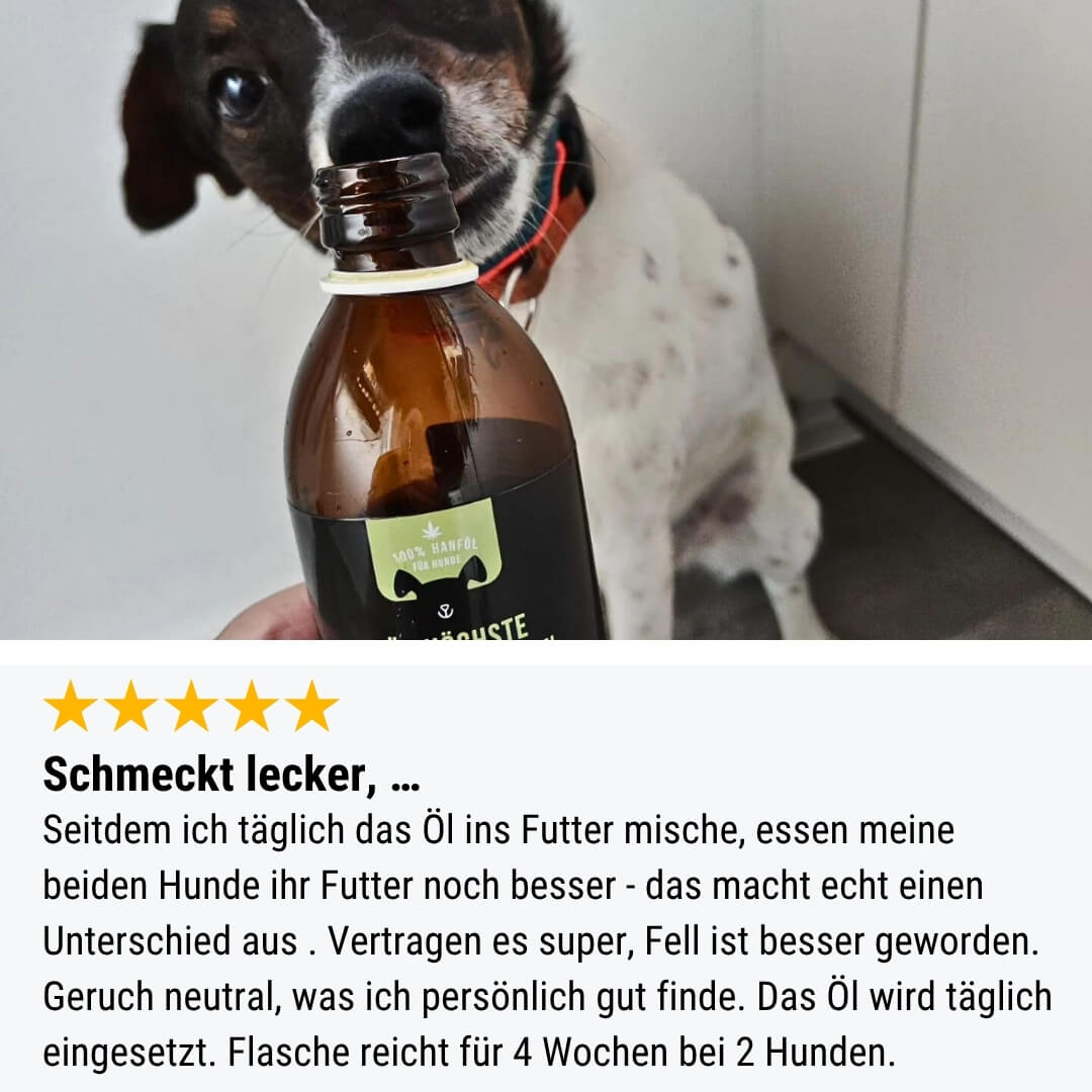 Für höchste Hanforderungen