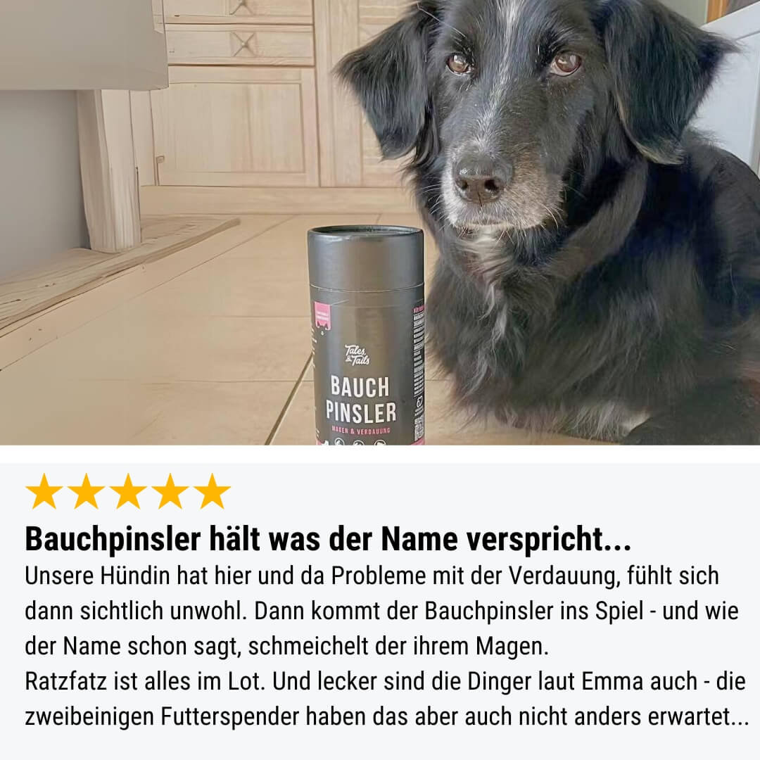 Probe - Bauchpinsler