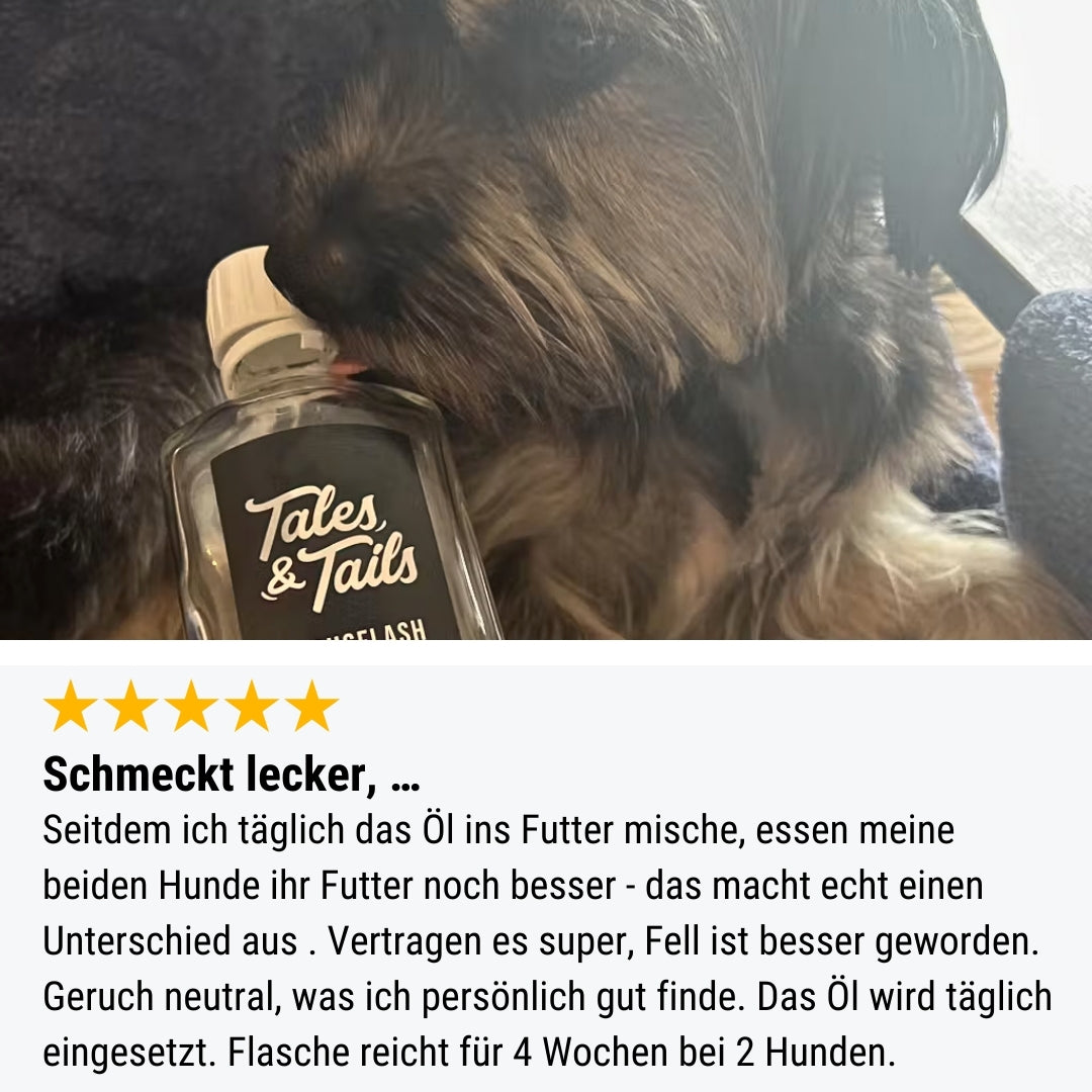 Lachsflash