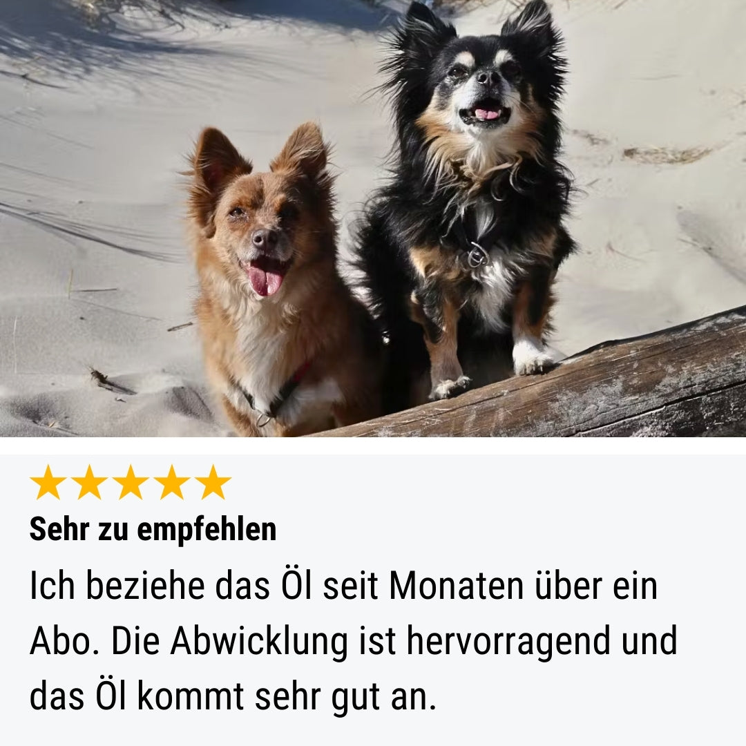 Lachsflash