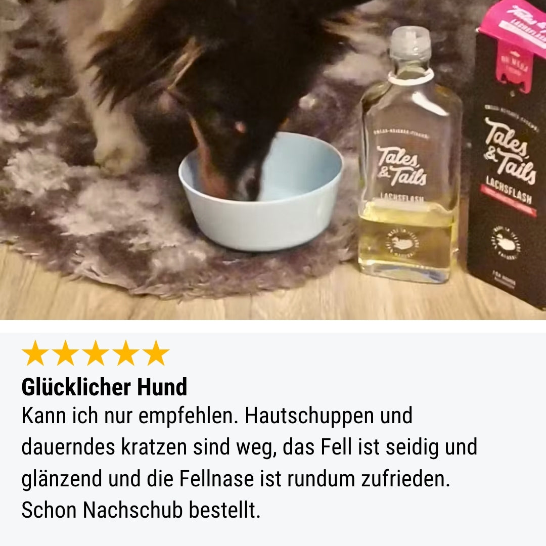 Lachsflash