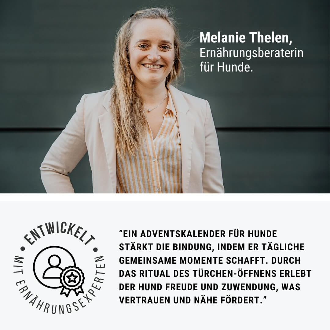 Adventskalender für Hunde