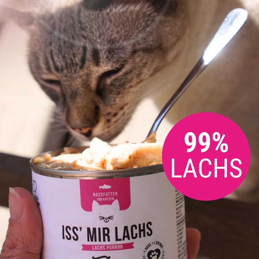 Iss' mir Lachs