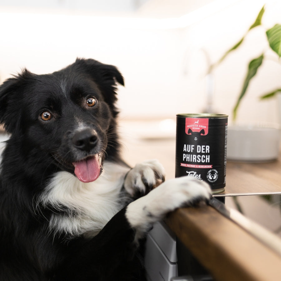 Kennenlernpaket - Unsere beliebtesten Produkte zum Probieren und Testen