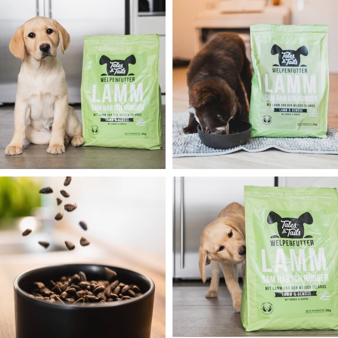 LammSam hab ich Hunger