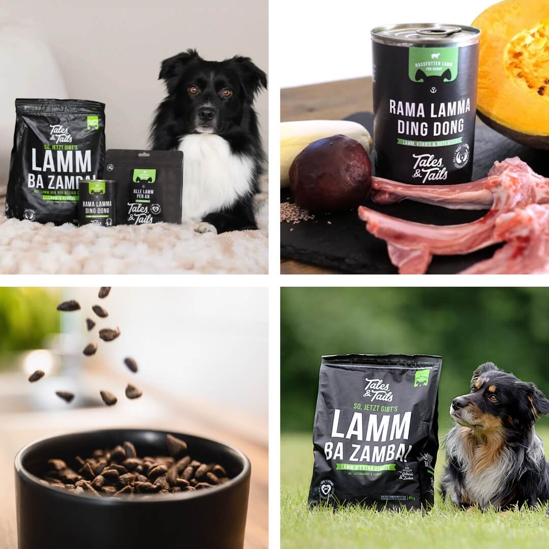 Monoproteinpaket Lamm