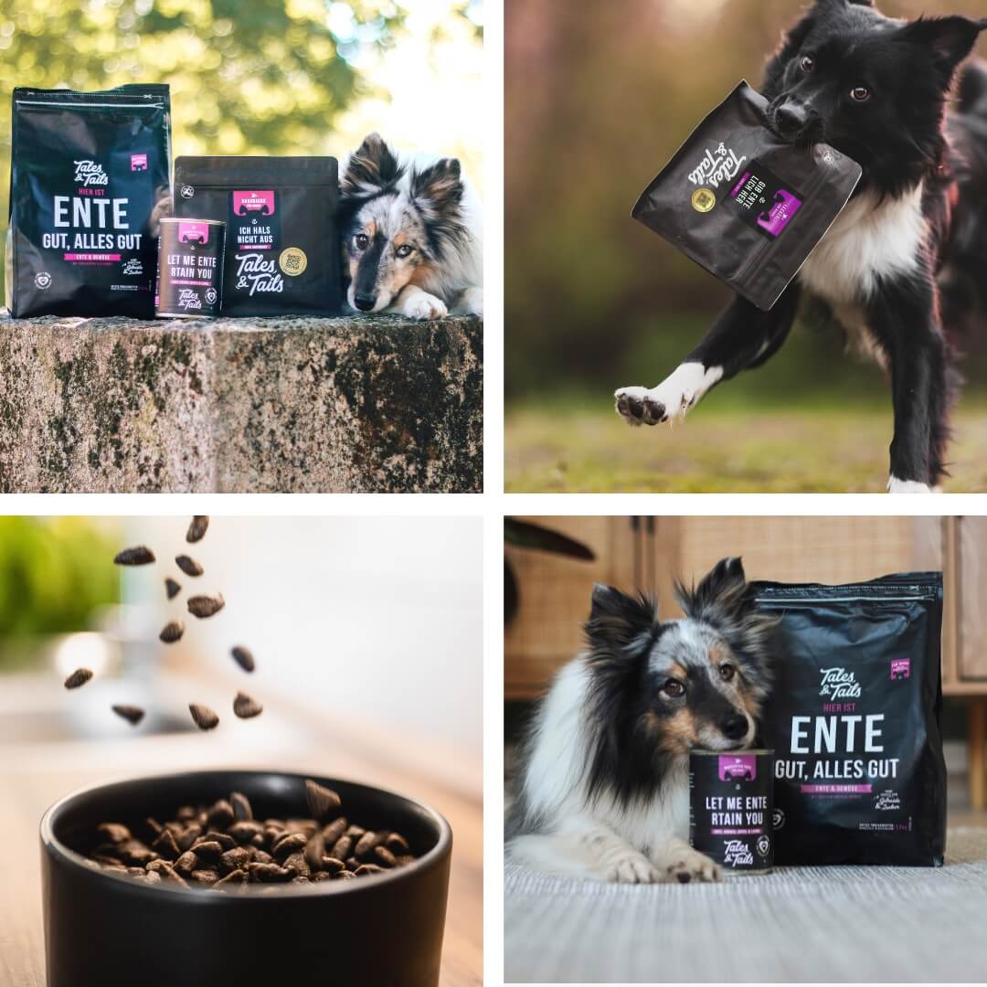 Monoproteinpaket Ente