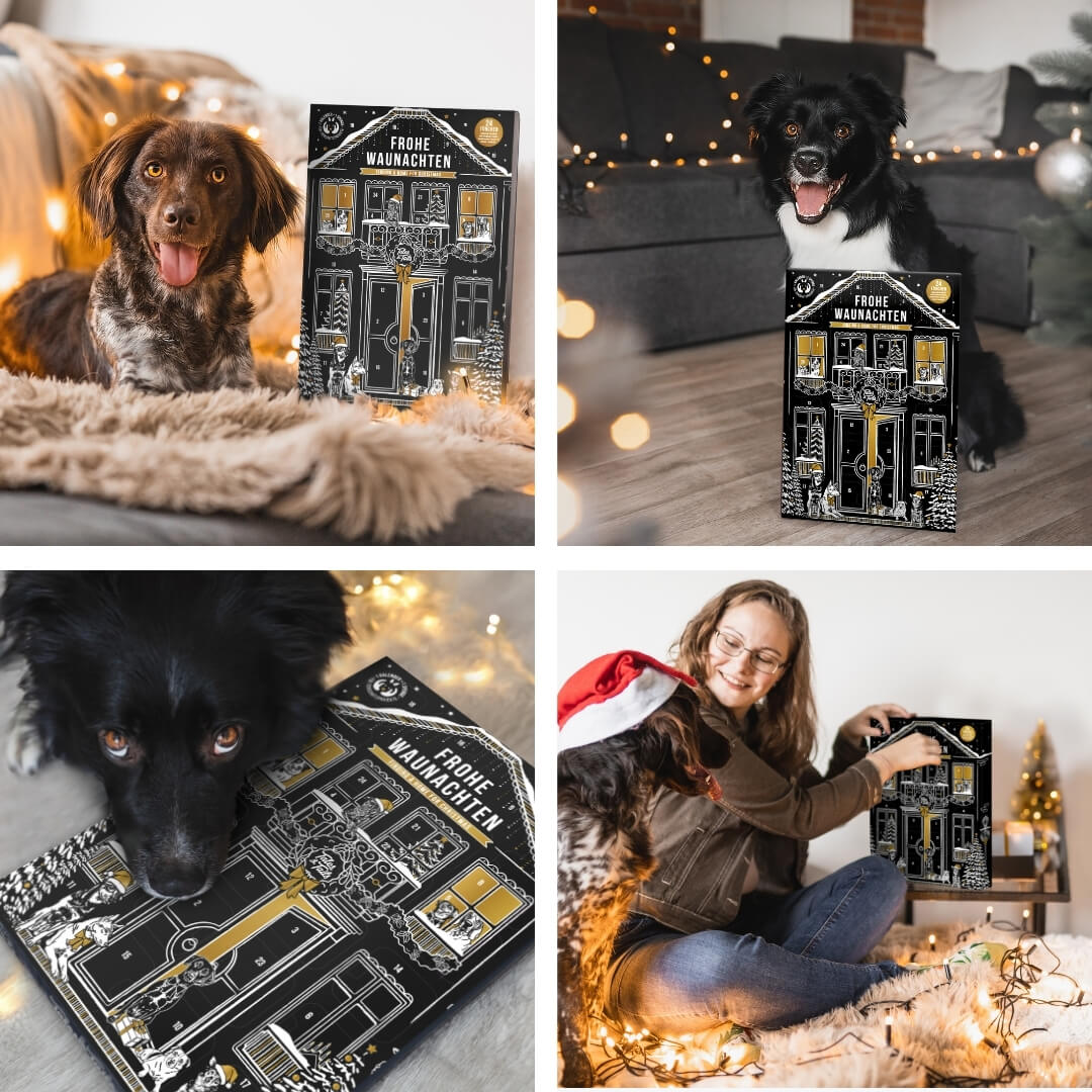Adventskalender für Hunde