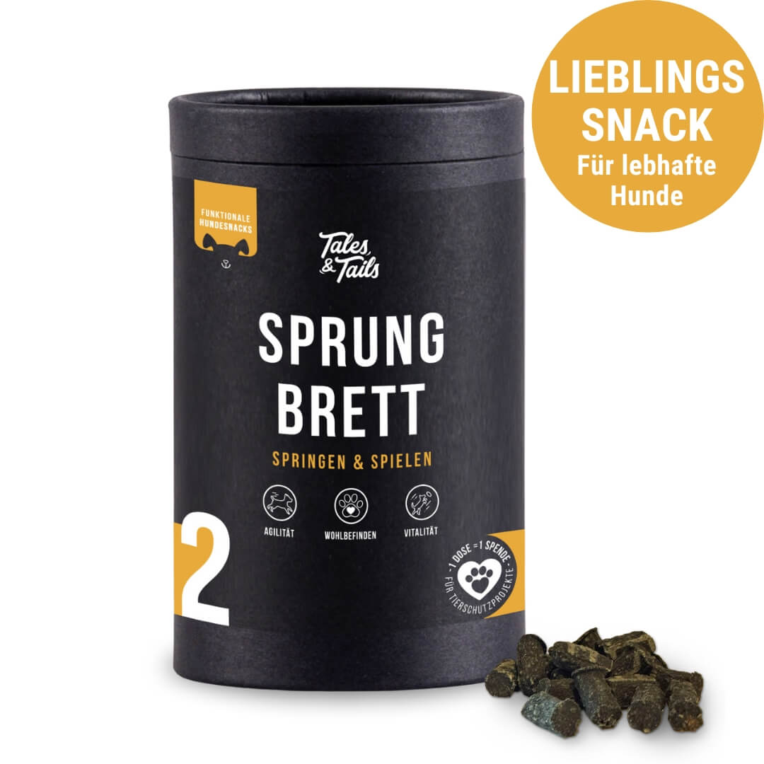 Sprungbrett