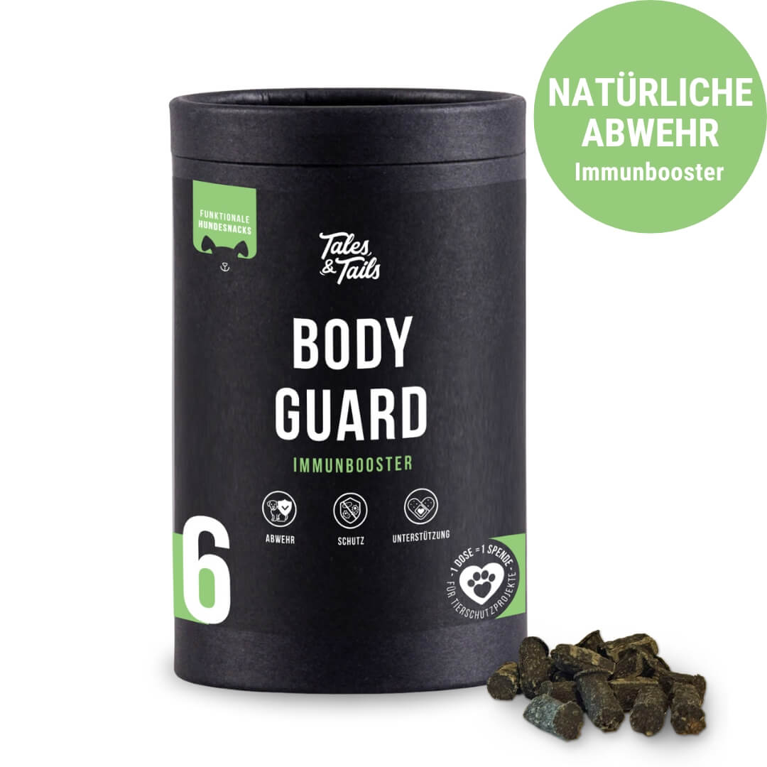 Bodyguard