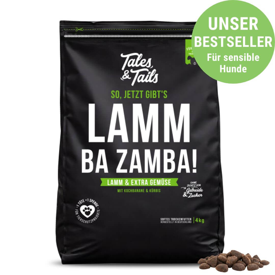 LammBa Zamba!