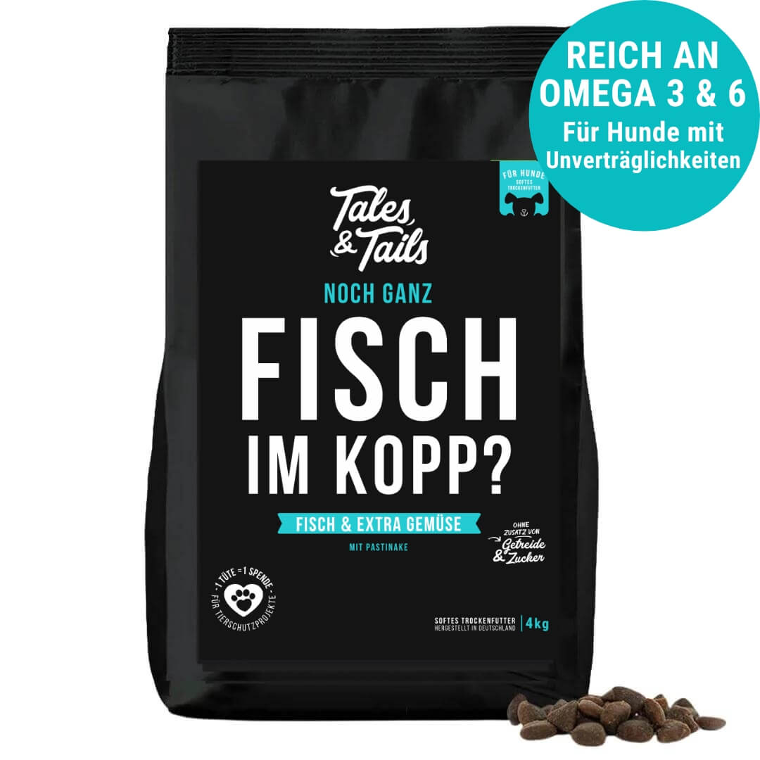 Noch ganz Fisch im Kopp?