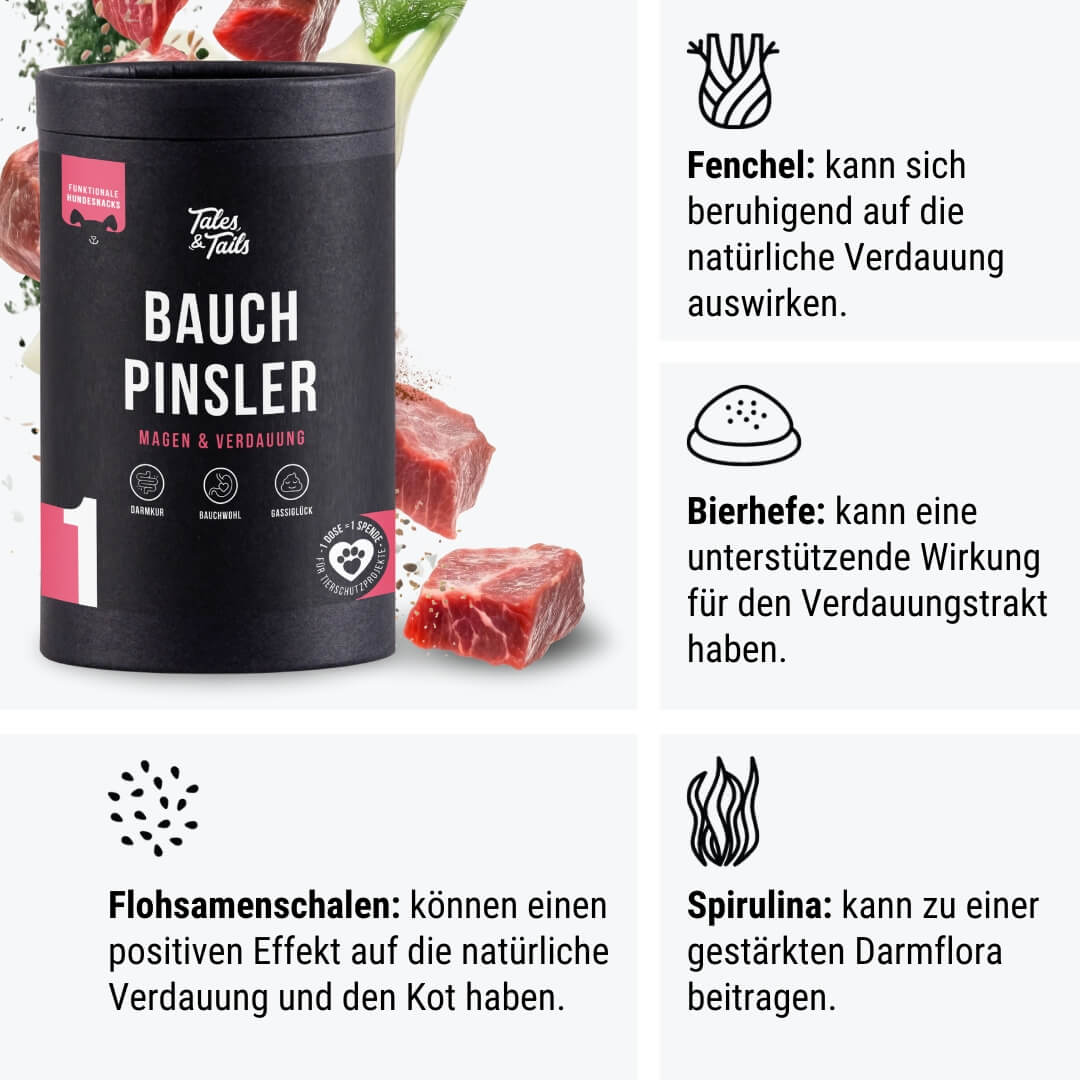 Bauchpinsler