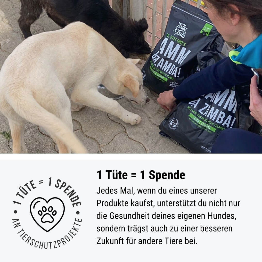 Monoproteinpaket Pferd